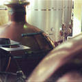PODtoberfest at Sam Adams Brewery