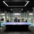 Ping Pong Anyone?