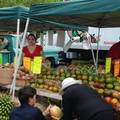 Redland Summer Fruit Festival
