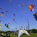 No RSVP Fee - Potluck Picnic at the Newport Kite Festival - Newport, RI